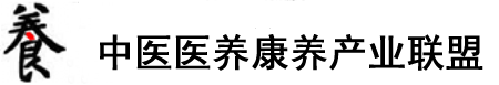 外国美女鸡吧插入老逼视频